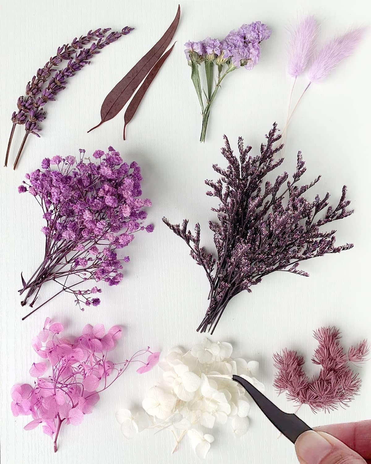 AHTONG Real Dried Leaf Flowers Plant Herbarium with Tweezers for Resin Molds Craft Jewelry Making... | Amazon (US)