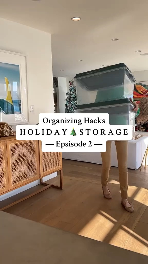 Shop the Reel: Holiday Storage Hacks 
holiday storage, christmas storage, amazon storage, holiday organization 

#LTKhome #LTKHoliday