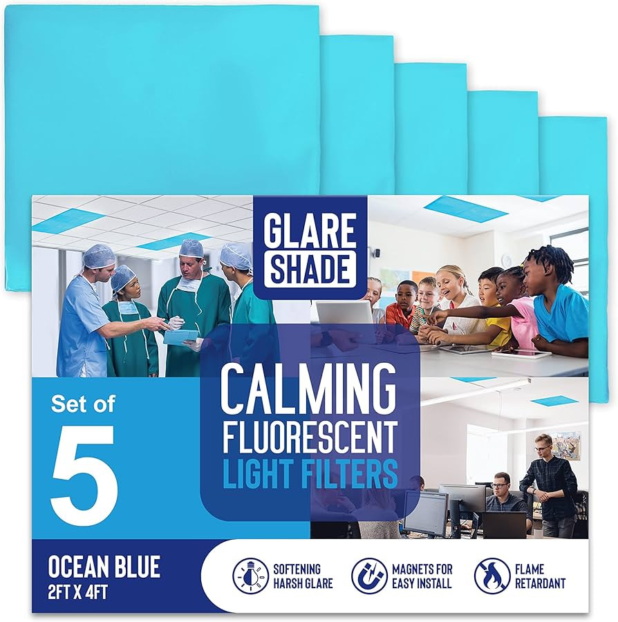 2x4 Feet - 5 Count - Fluorescent Light Covers for Classroom or Office | Magnetic Light Covers for... | Amazon (US)