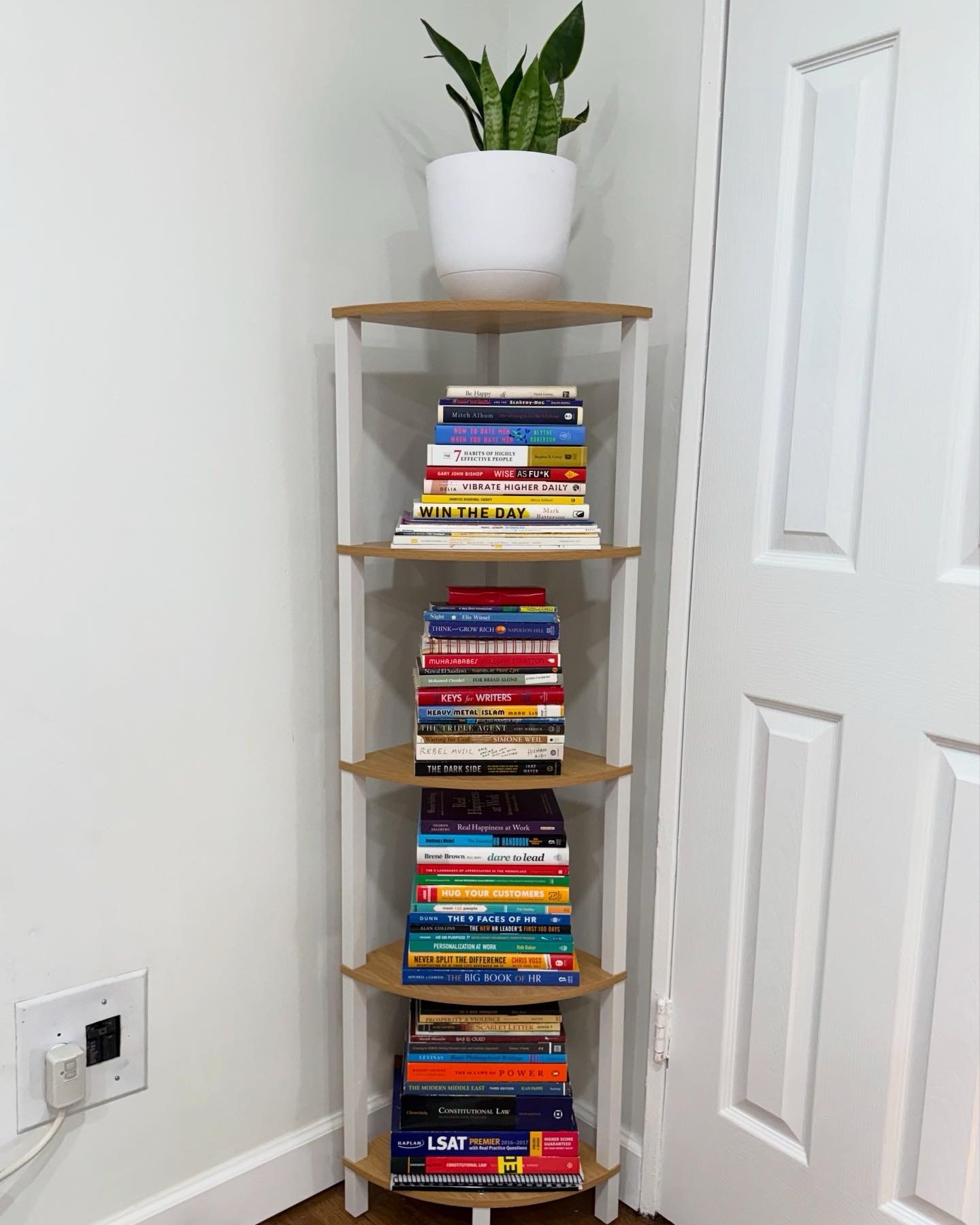 AMAZON BOOKSHELF !
i bought this bookshelf on amazon during prime day in july and it’s the most colorful thing in my house. i always love going into someone’s home and admiring their bookshelf and seeing their reads as it represents who they are as a person and what interests them. my boyfriend and i split the shelves so our home has a bit of both of us (and it shows through our book choices.)

#LTKFindsUnder50 #LTKHome #LTKSaleAlert