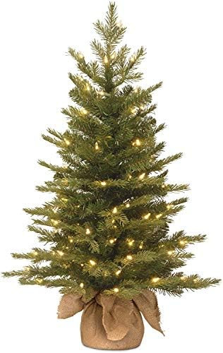 National Tree Company 3 ft Pre-Lit Nordic Spruce Mini Artificial Christmas Tree, 100 Clear Lights... | Amazon (US)