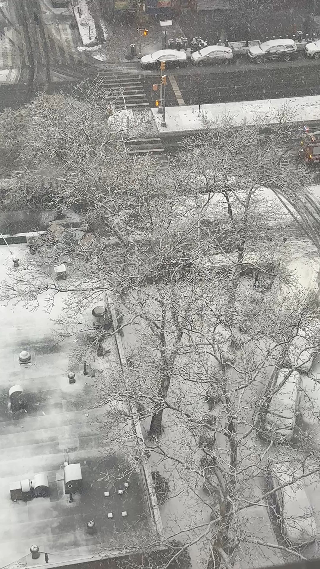 Throwback to a snow day moment—feeling inspired by the Winter Olympics ❄️⛷️
Who’s watching this year? Skiing, skating, all of it just hits different.
🇺🇸🥇🥈🥉

#LTKvlog #LTKTravel #LTKdayinmylife