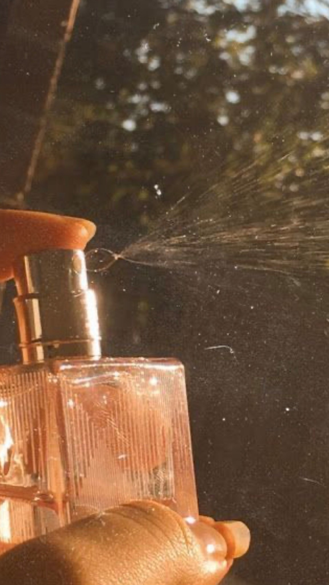 My perfume obsession is so real…. here are my current top contenders! 