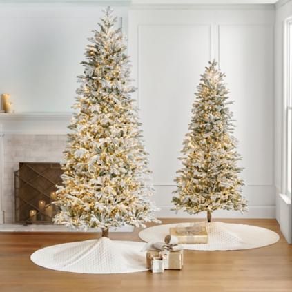Snowdrift Noble Fir Tree | Frontgate | Frontgate