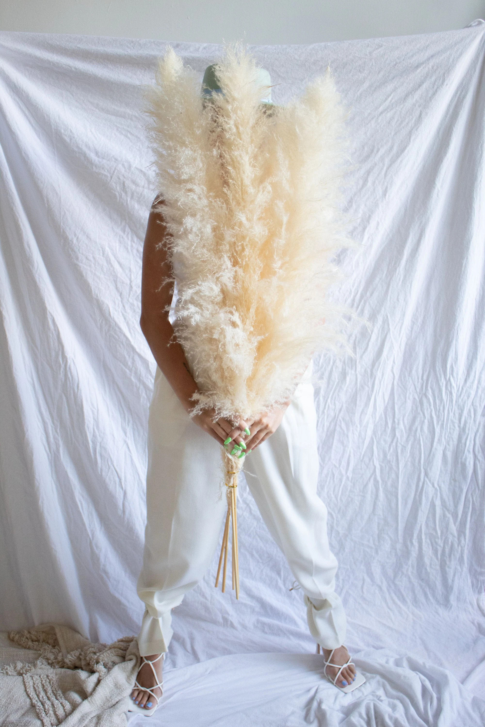 5 Large 4ft Tall Fluffy Natural Dried Pampas Grass Trending | Etsy | Etsy (US)