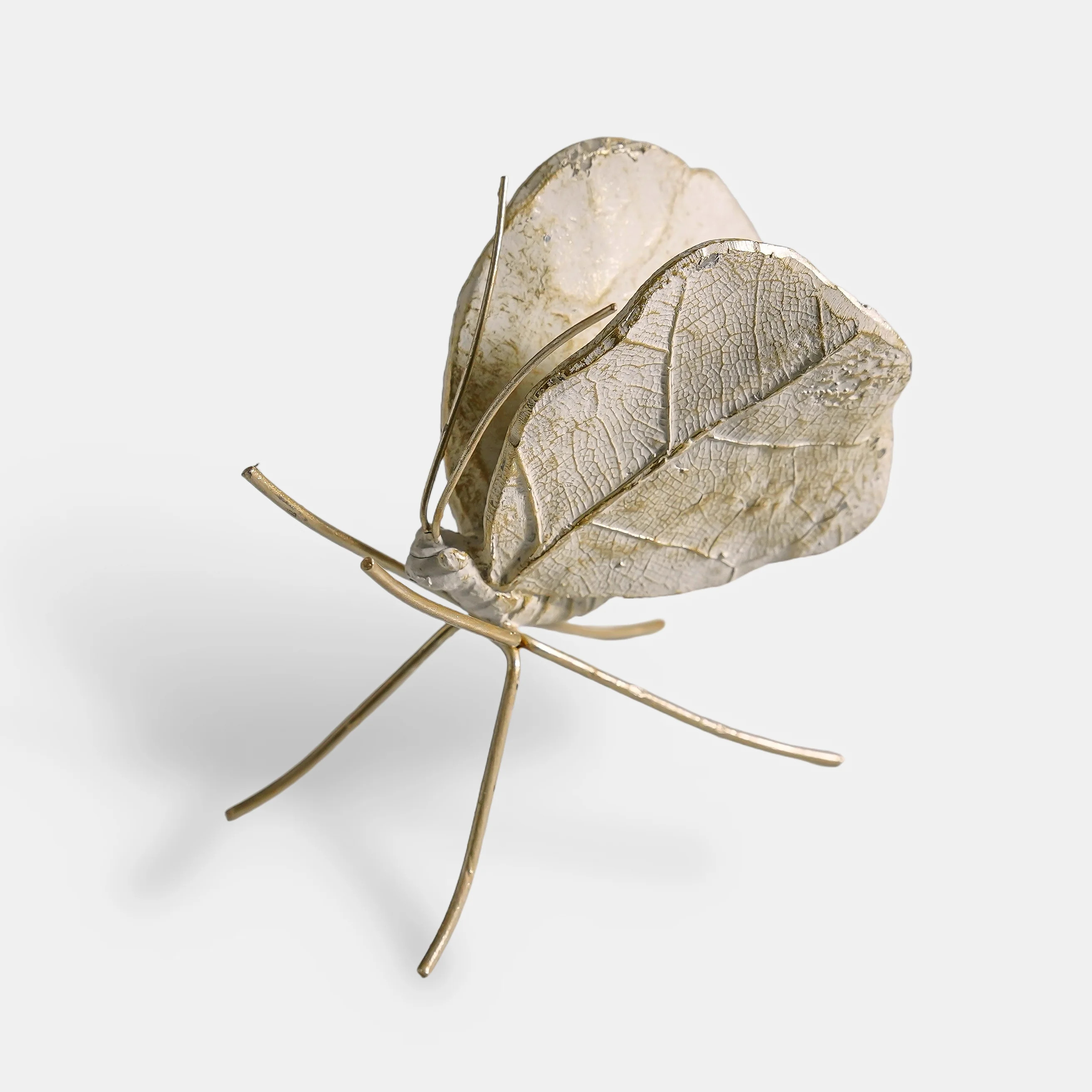 Leaf Wing Butterfly | Ivory & Gold | MJHome