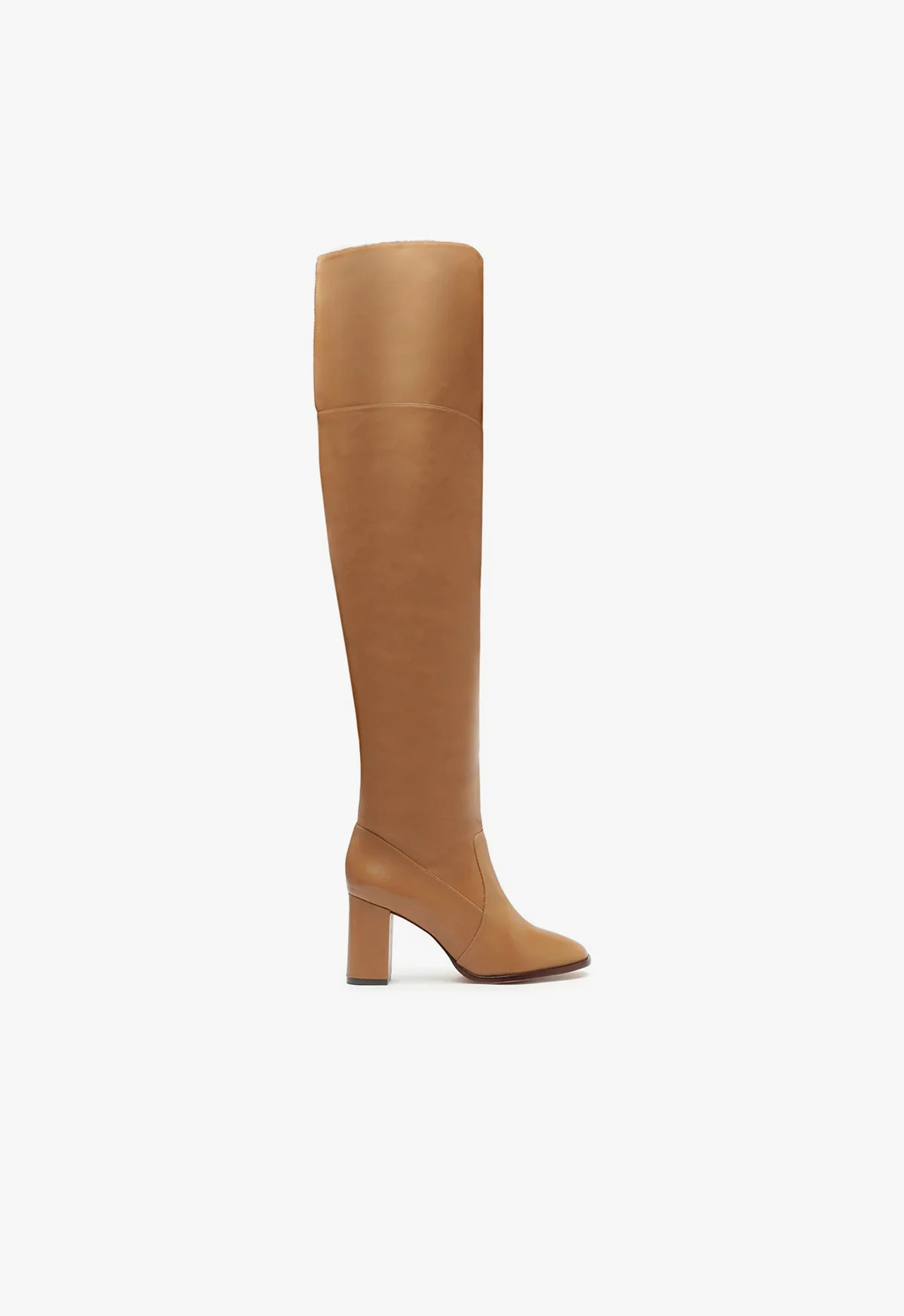 Terrance Over the Knee Block Boot | Schutz (US)