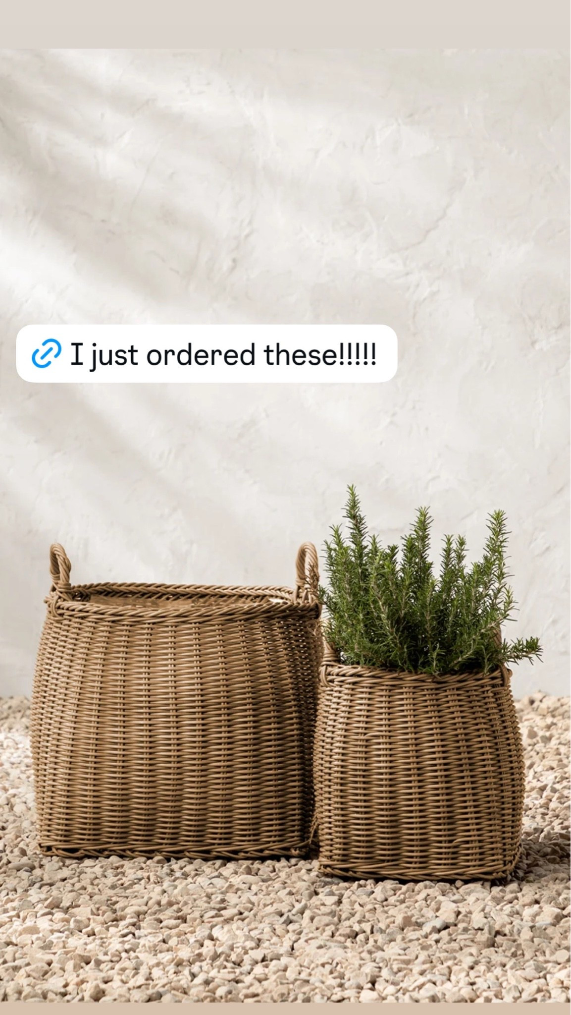 Home decor on sale for Labor Day!! I love these vases!!

#LTKHome #LTKSaleAlert #LTKSeasonal