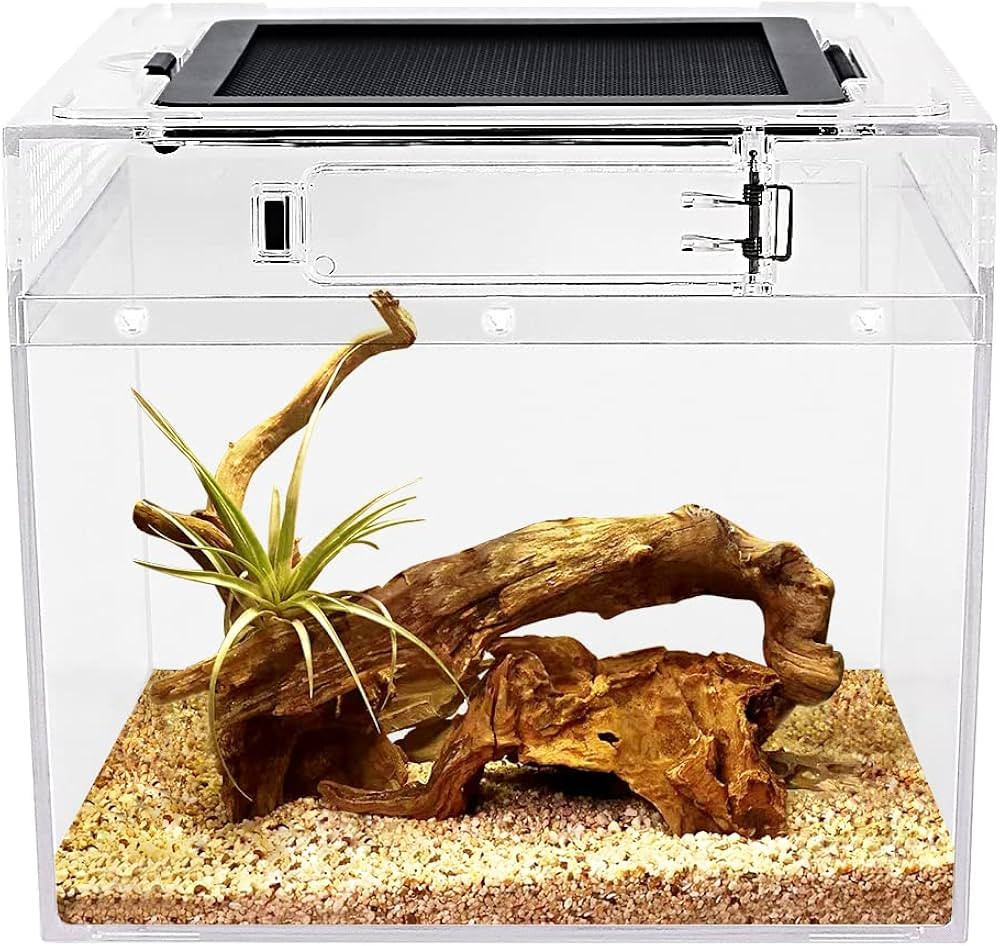Reptile Growth Mini Reptile Terrarium,8" x 8"x 8" Reptile Tank with Full View Visually Appealing... | Amazon (US)