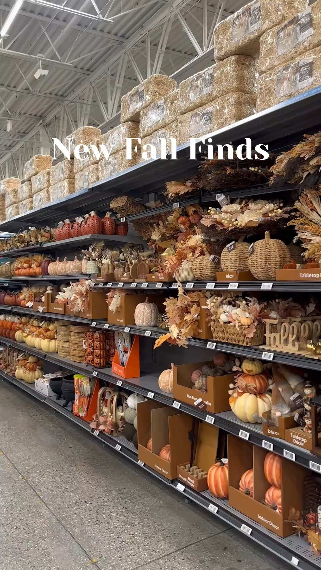 Soooo many cute new Fall Home Finds!! Great prices, so cute 8 your home will be feeling like Fall in no time🍂🍁🍂🍁

#LTKSeasonal #LTKHome