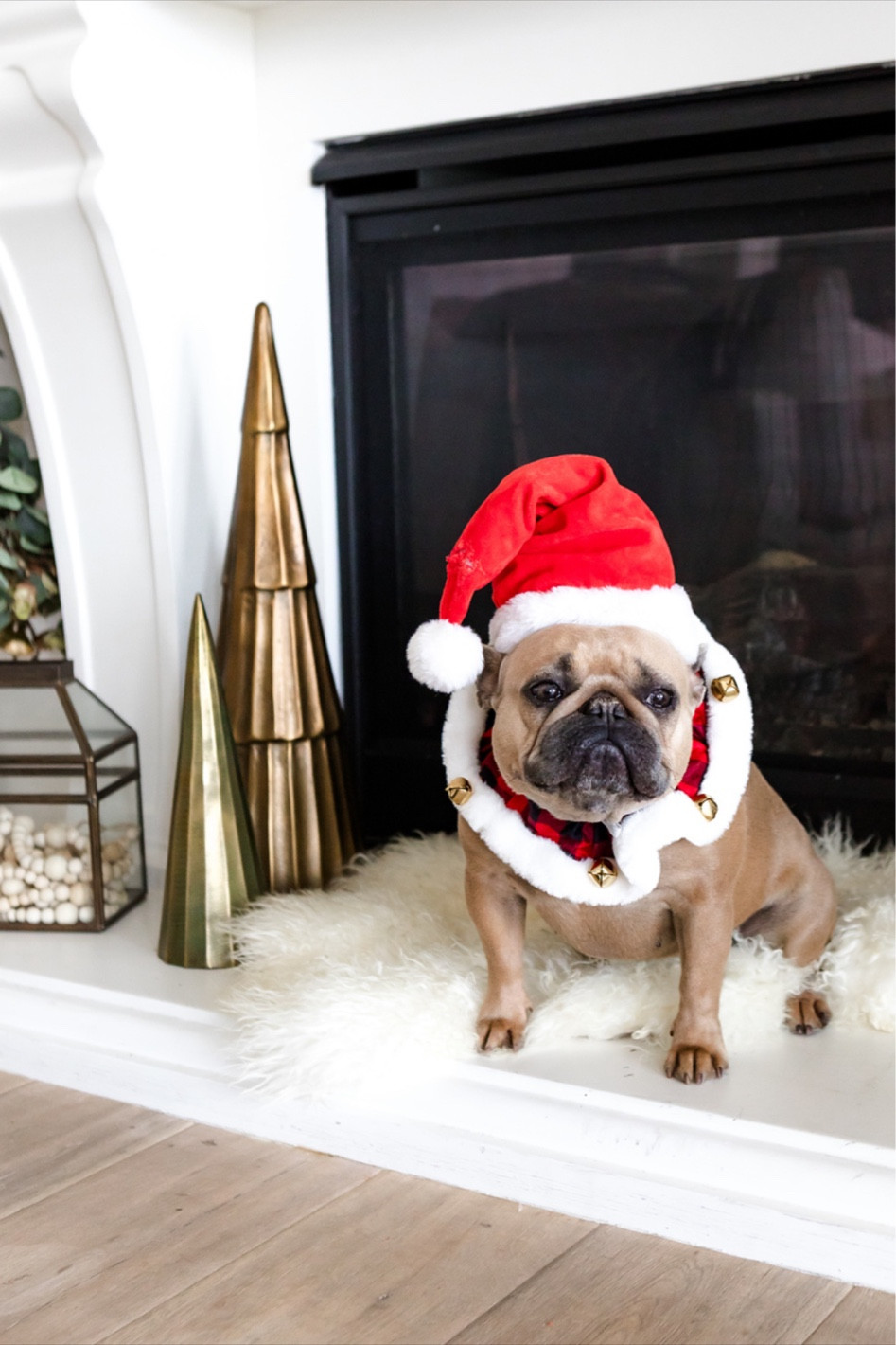 The most wonderful time of the year with Arhaus!! 🎄🎄❤️❤

#LTKHoliday #LTKSeasonal #LTKHome