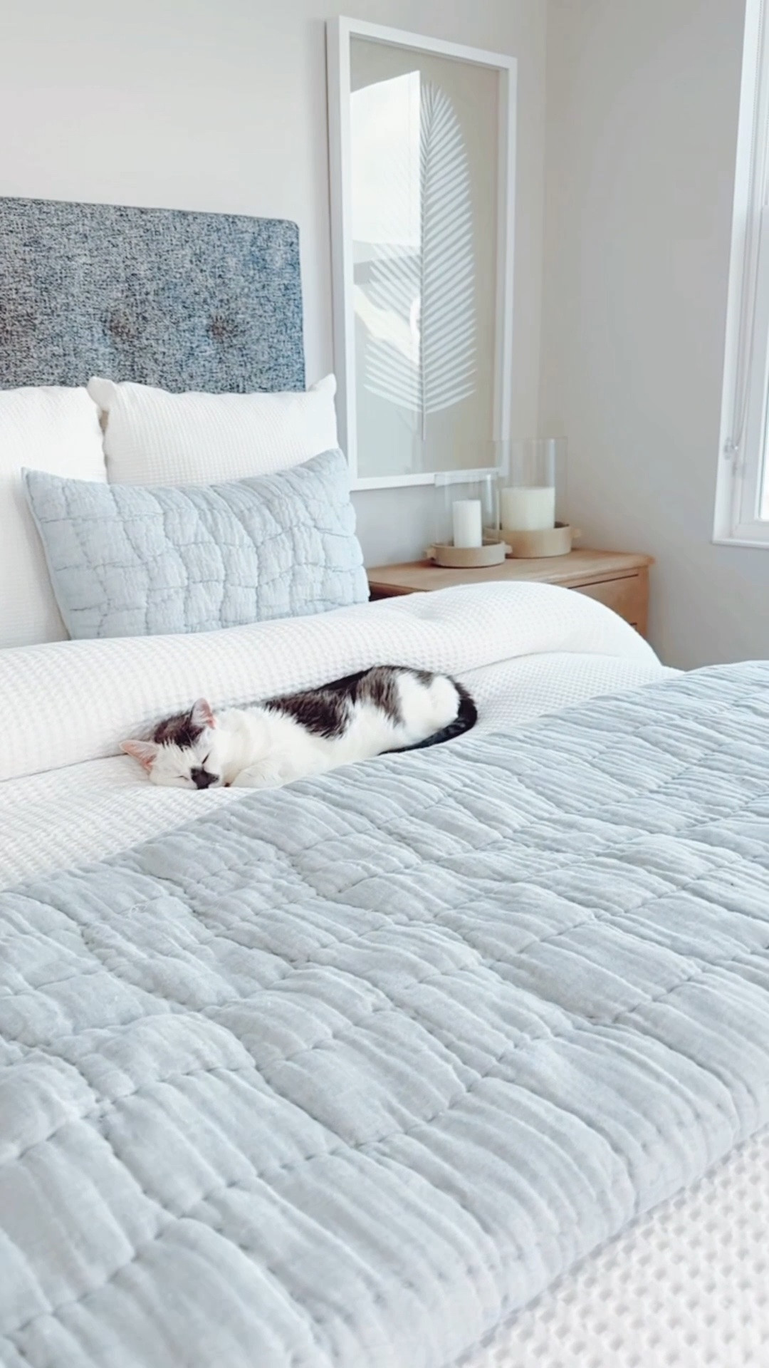 COASTAL HOME DECOR + BEDDING

modern coastal home, master bedroom, beach home, white bedding, white comforter, blue bedding, pottery barn, Florida home, coastal bedroom, duvet, cozy, bright, airy, driftwood, natural wood nightstand, bedroom furniture, neutral bedroom, chandelier, candles, console table styling

#LTKHome #LTKmorningroutine #LTKSaleAlert