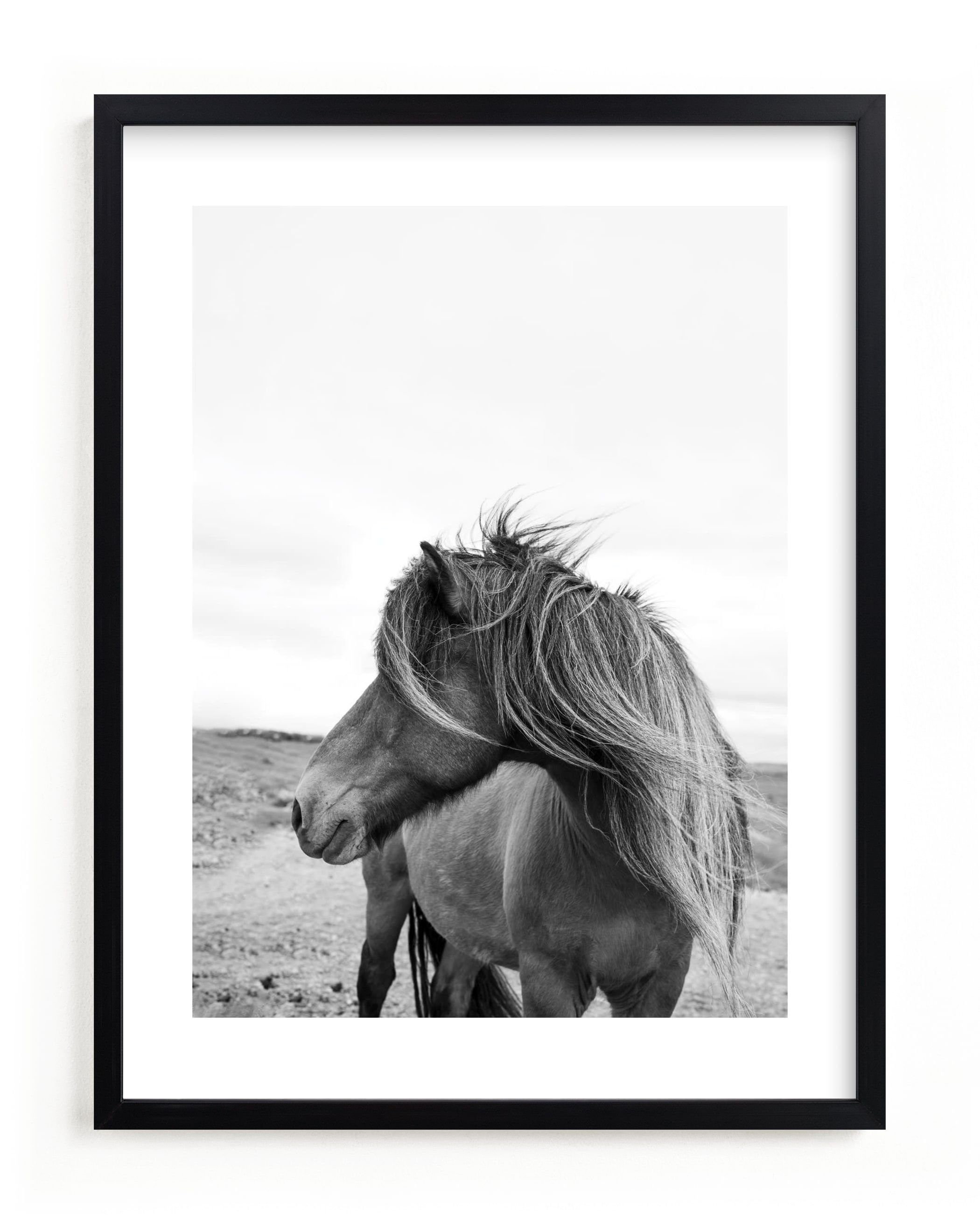 "A Horse and the Wind" - Photography Limited Edition Art Print by Ilze Lucero. | Minted