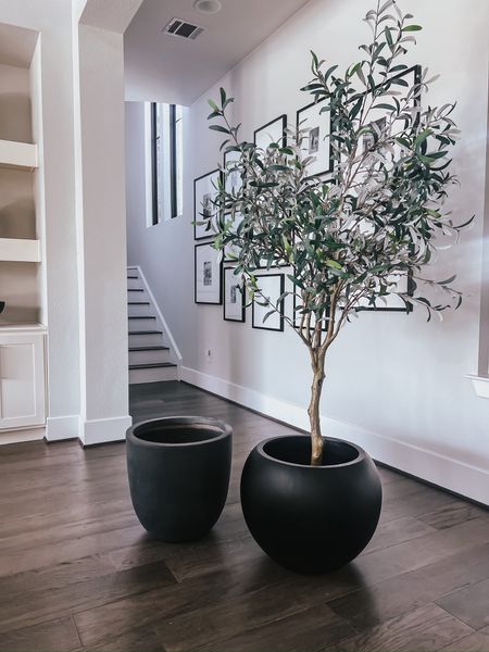 Our favorite faux olive tree, this one is 7ft 😍
#founditonamazon 

#LTKStyleTip #LTKHome