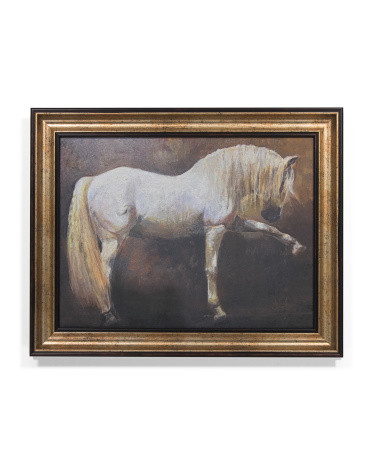 16x20 Grey Horse With Long Mane And Tail Wall Art | TJ Maxx