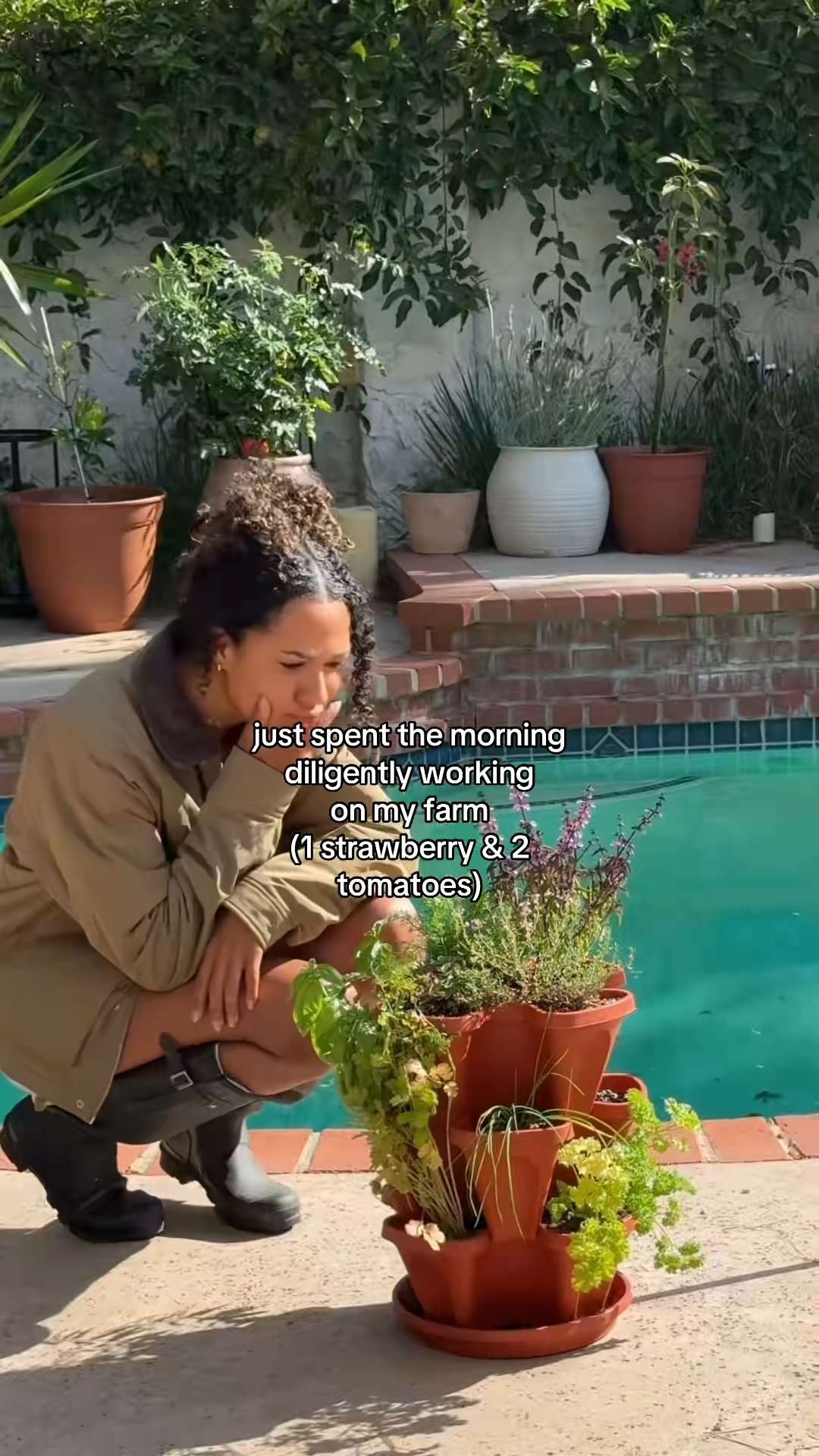 items that can be a life saver on your gardening journey 🍓🌱🌻 

 #LTKSeasonal #LTKHome