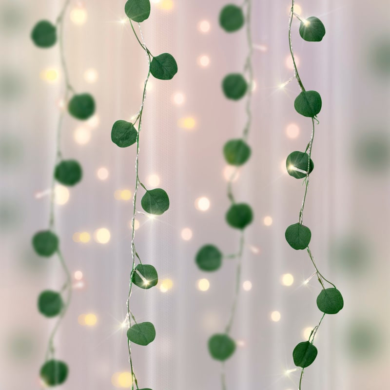 Eucalyptus Curtain Lights, 5' | At Home