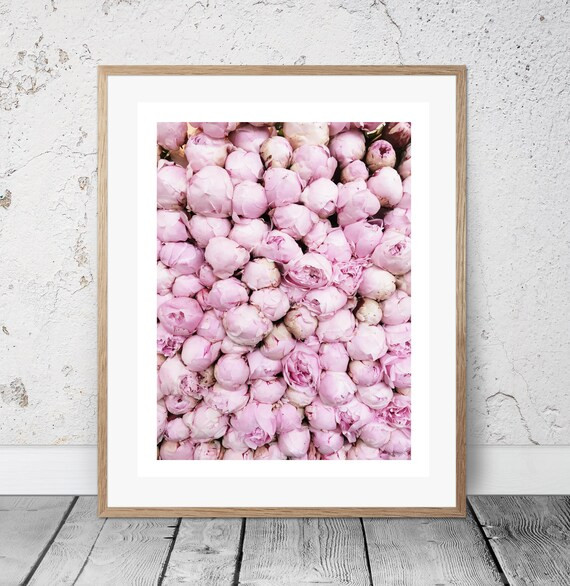 Printable Pink peony photo, Peony Art Print, Paris Decor Bedroom, Peony Wall Art, Paris Wall decor,  | Etsy (US)