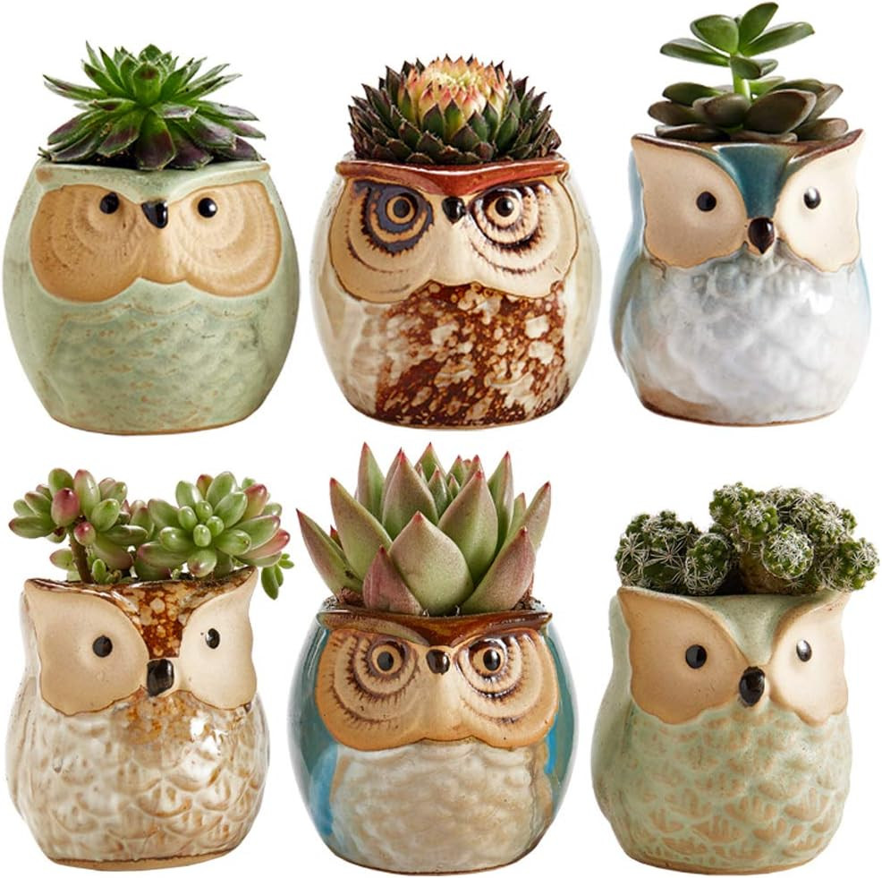 Owl Pot Ceramic Flowing Glaze Base Serial Set Succulent Plant Pot Cactus Plant Pot Flower Pot Con... | Amazon (US)