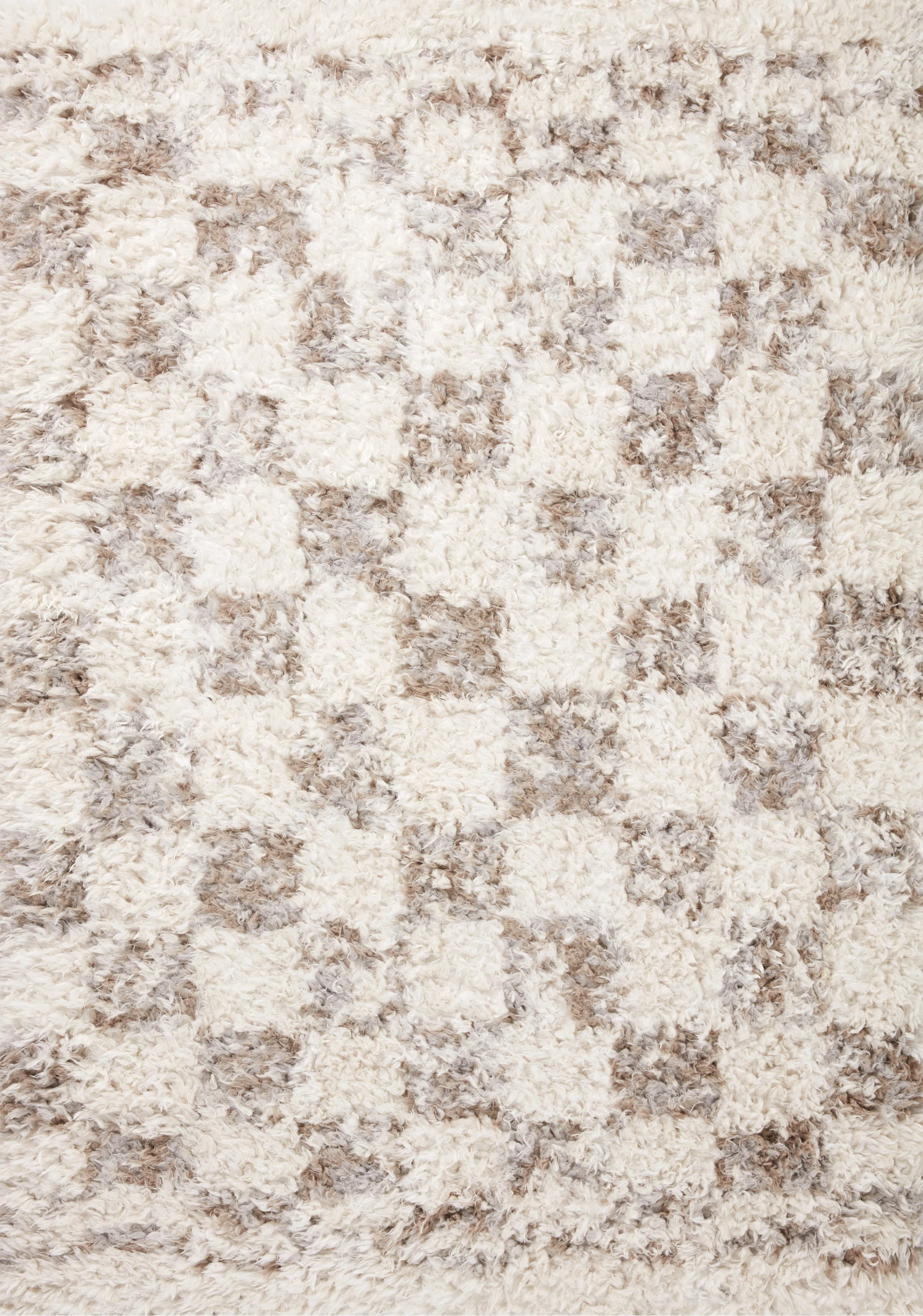 Angela Rose x Loloi Amira Area Rug | Wayfair North America