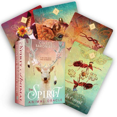The Spirit Animal Oracle : A 68-Card Deck and Guidebook | Walmart (US)