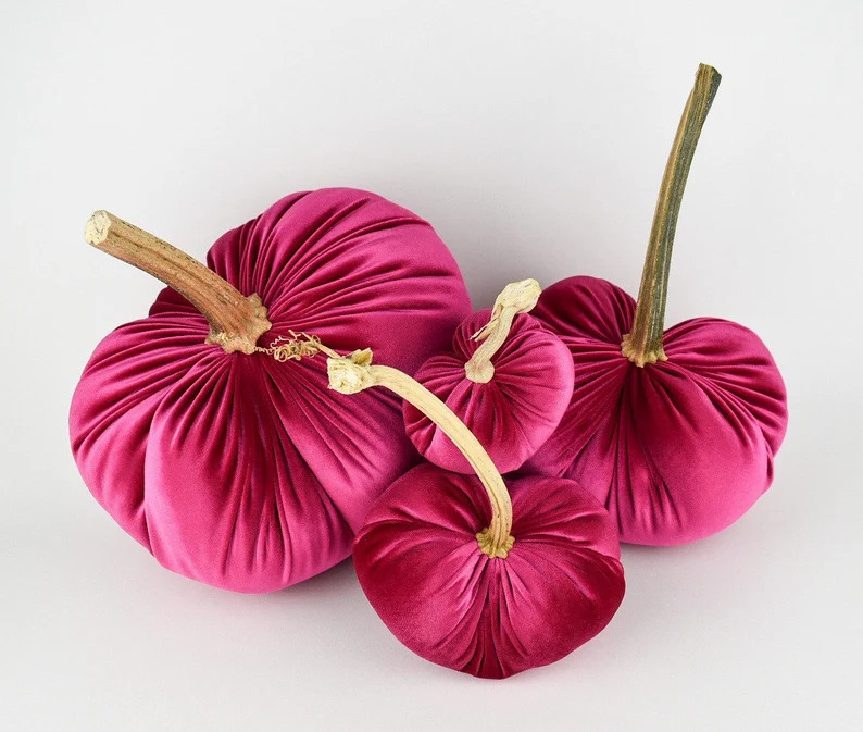 Velvet Pumpkin in Fuchsia with a Real Stem | Etsy (US)