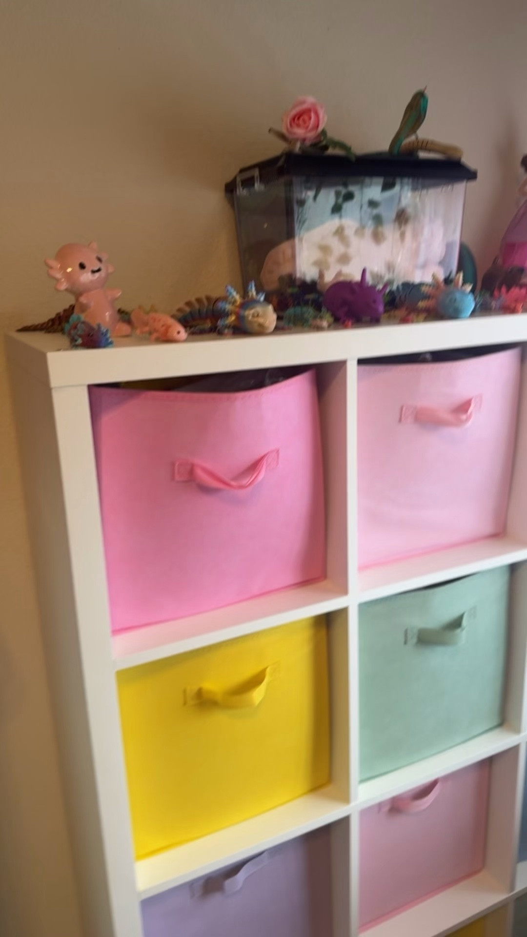 Winnie’s axolotl bedroom video 2
#girlsbedroom #kidsbedroom #axolotlbedroom 


#LTKHome #LTKmomlife #LTKKids