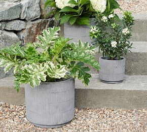 River Cachepot | Pottery Barn (US)