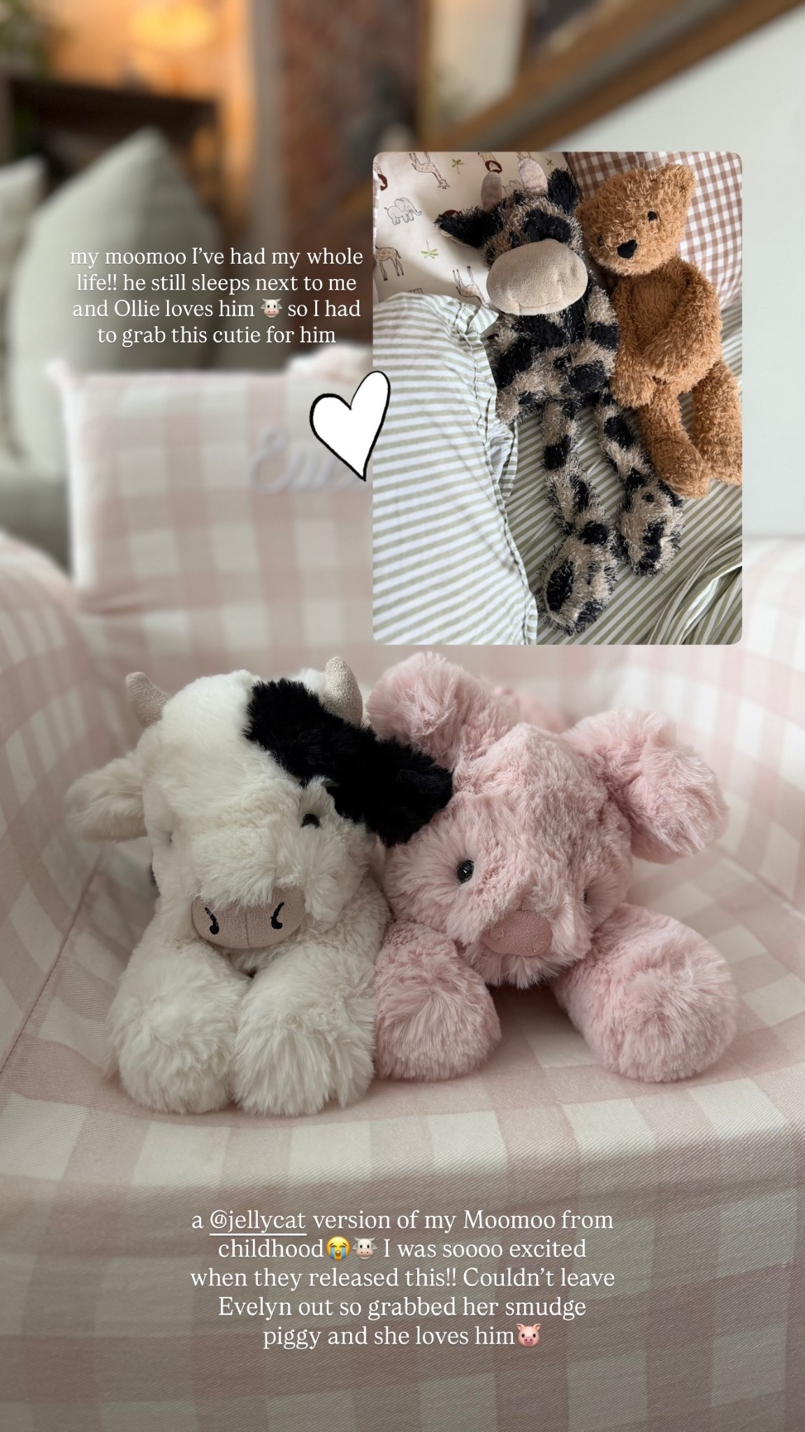 a @jellycat version of my Moomoo from childhood😭🐮 I was soooo excited when they released this!! Couldn’t leave Evelyn out so grabbed her smudge piggy and she loves him🐷  my moomoo I’ve had my whole life!! he still sleeps next to me and Ollie loves him 🐮 so I had to grab this cutie for him
