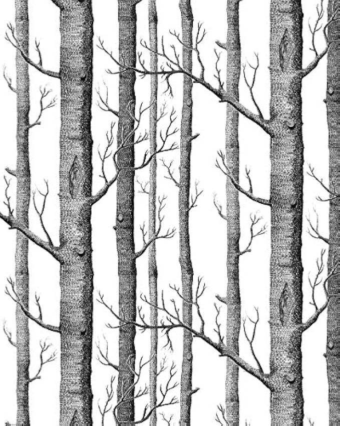 HaokHome Modern Birch Tree Wallpaper Non Woven Forest Trunk Wall Paper Black White Murals for Kitche | Amazon (US)