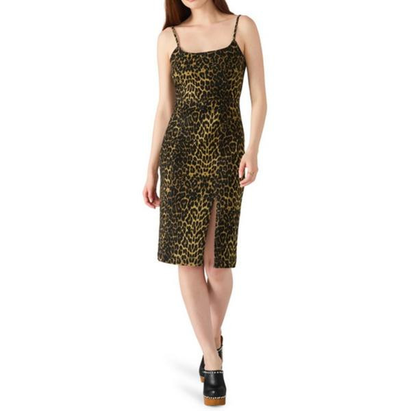 Women's Steve Madden Printed Giselle Dress 8 Hot Spots Print | Scheels Sports