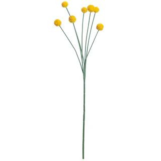 Yellow Billy Ball Stem by Ashland® | Michaels Stores