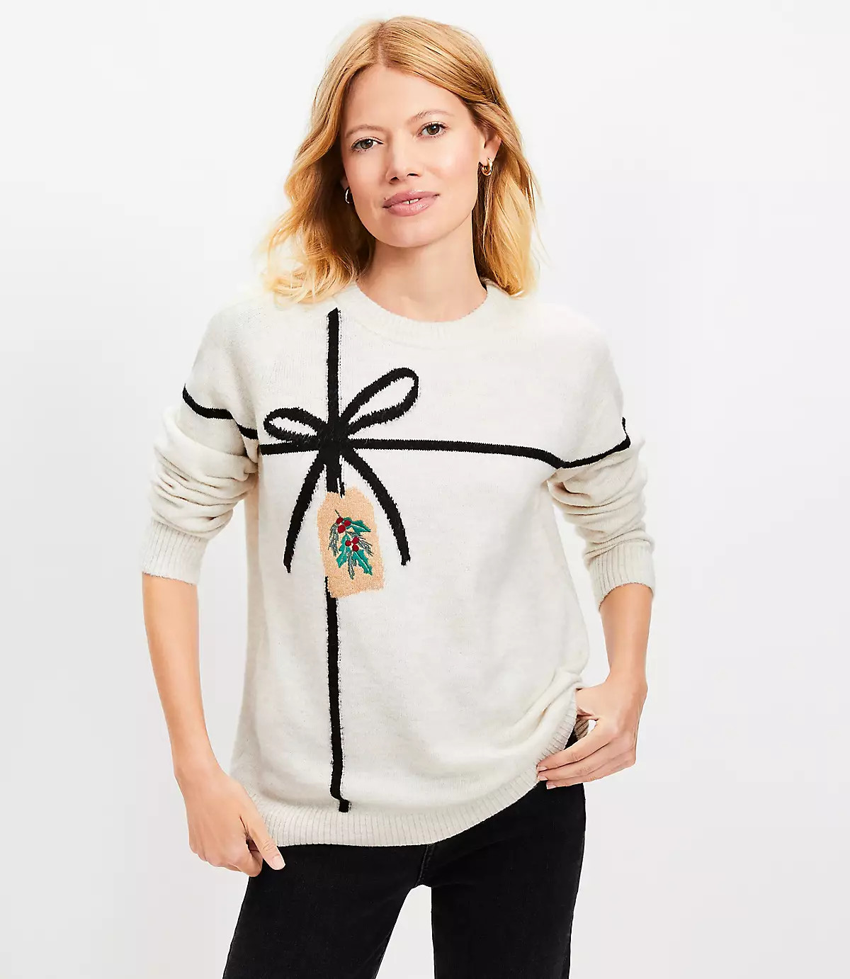 Holiday Gift Everyday Sweater | LOFT