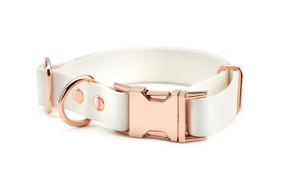 1 Inch Engraved Biothane Buckle Dog Collar White Personalized | Etsy | Etsy (AU)