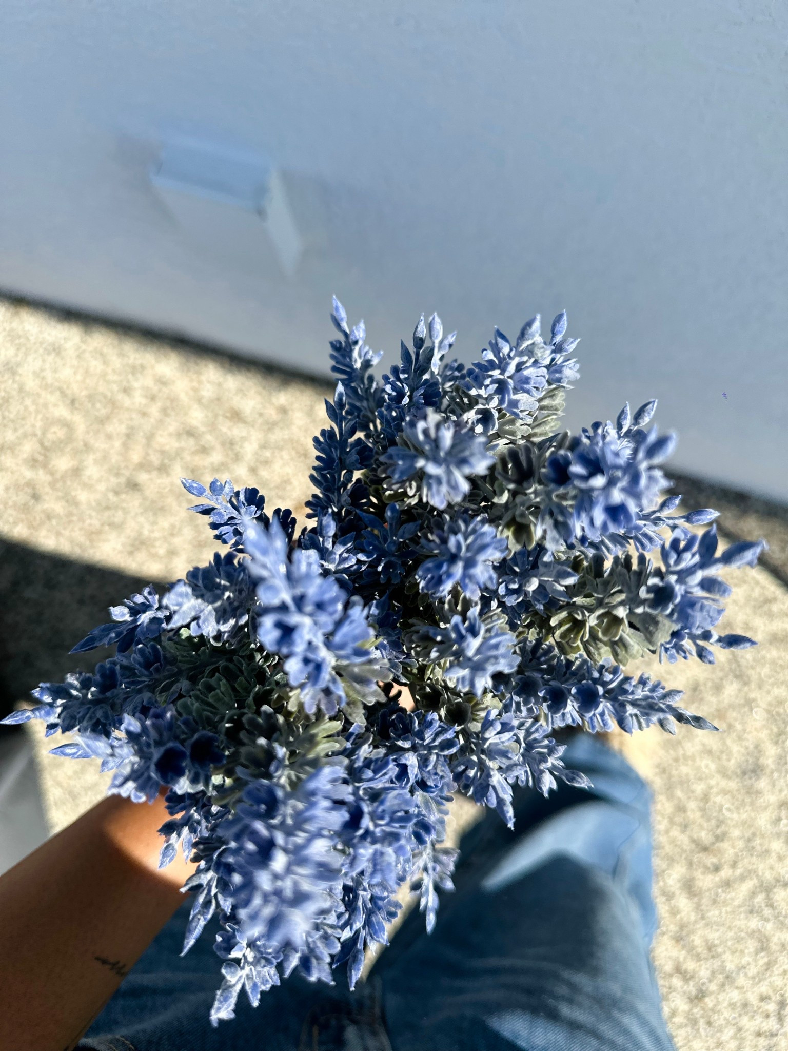 Mis favoritas para el patio, la calidad es ext lucen muy real 

#LTKSaleAlert #LTKSeasonal #LTKHome