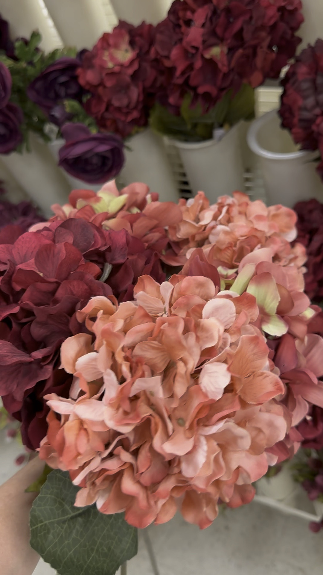 Shop @michaels fall stems with me! I think these hydrangeas and leaves are so pretty.


#LTKsalealert #LTKSeasonal #LTKunder50