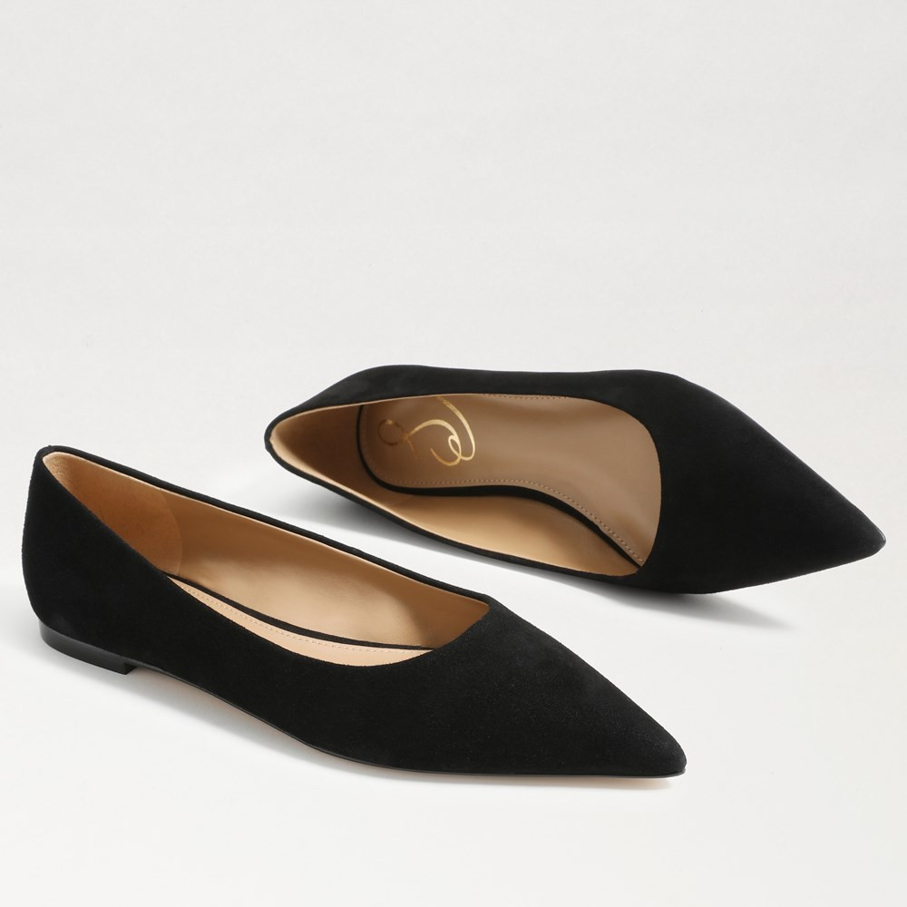 Wanda Pointed Toe Flat | Sam Edelman