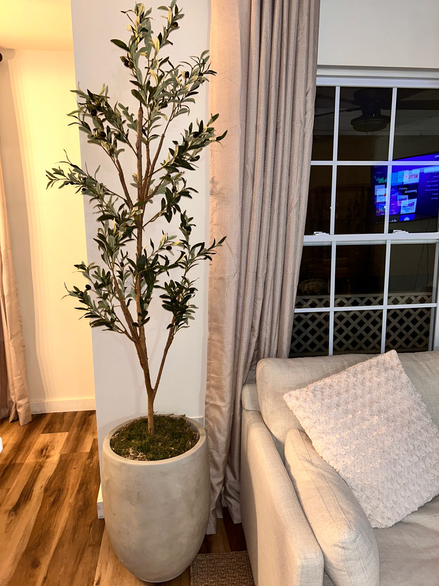 This corner is quickly becoming one of my favorite spots in my house! Cozying up on my couch next to a cutie little olive tree is 😍😍 | home, decor, plants, indoor, living room, pillows, cloud couch dupe, down filled, faux tree

#LTKMostLoved #LTKfindsunder100 #LTKhome