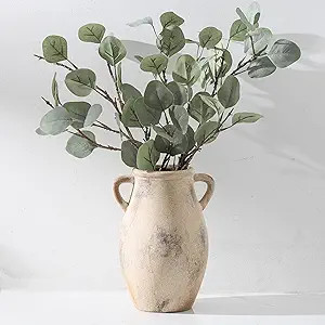 Ceramic Vase with Handles, 9.05 inch Tall Terracotta Decorative Pottery Flower Vase for Home Farm... | Amazon (US)