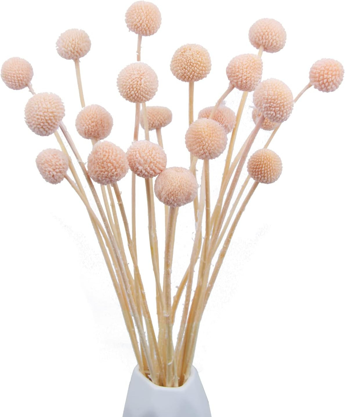 20 Pcs Dried Flowers Craspedia Billy Balls Flowers Billy Buttons Pink Dried Floral Bouquet Arrang... | Amazon (US)