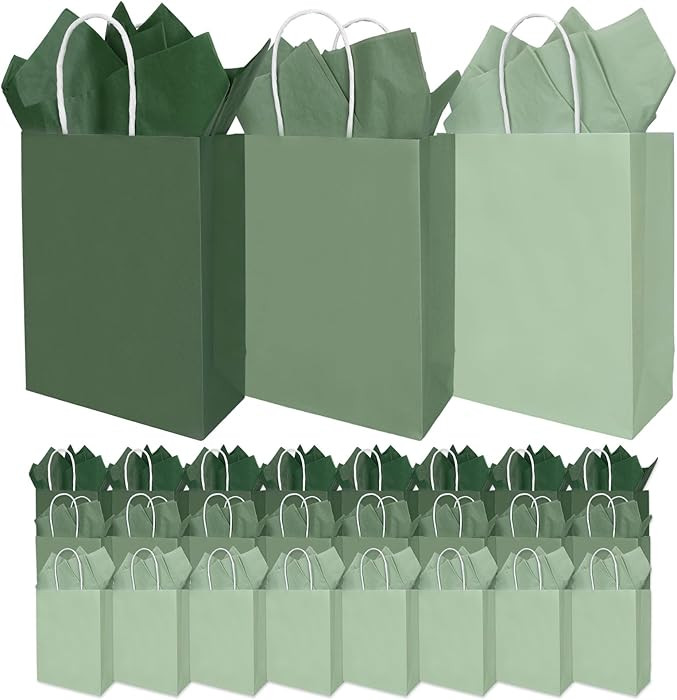 36 Pack Sage Green Gift Bags Spring 3 Colors Paper Bag with Handles and Tissue One Lucky Duck Col... | Amazon (US)