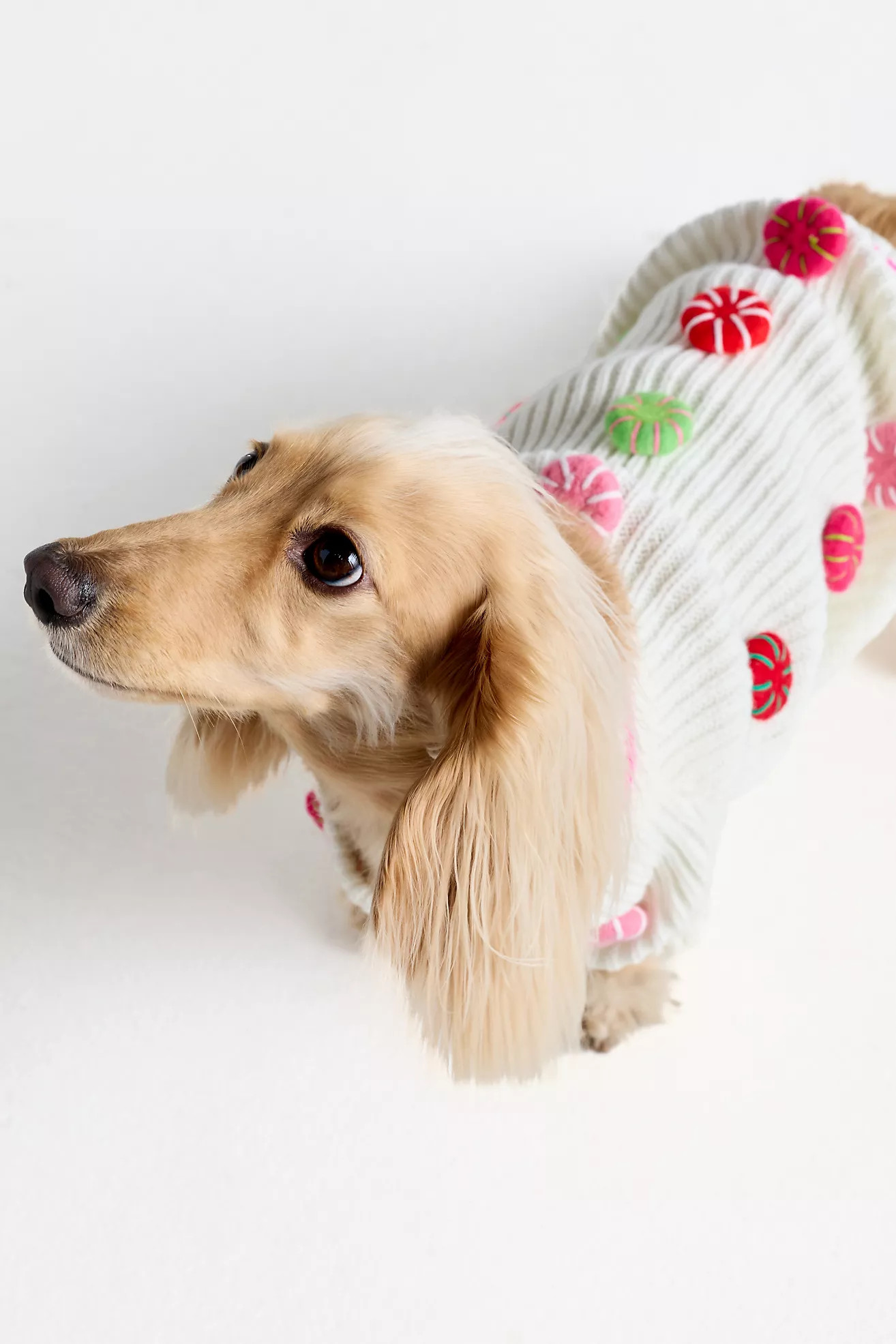 Seasonal 3D Motif Pet Sweater | Anthropologie (US)