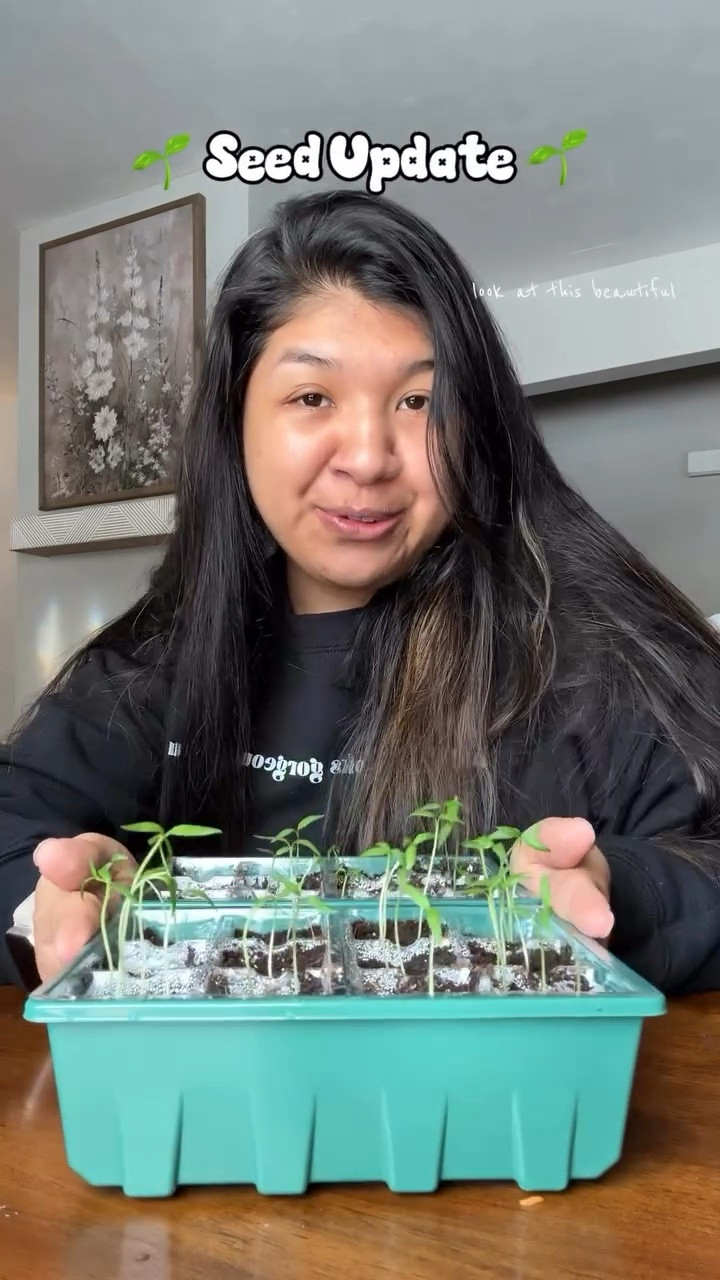 This series will be called “Gardening with Yani” 👩🏽‍🌾🪏🪴 #gardening #seedstarting #gardenproject #gardenmusthaves #amazonfinds