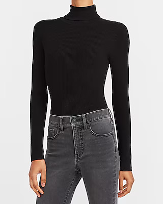 Fitted Ribbed Turtleneck Sweater | Express