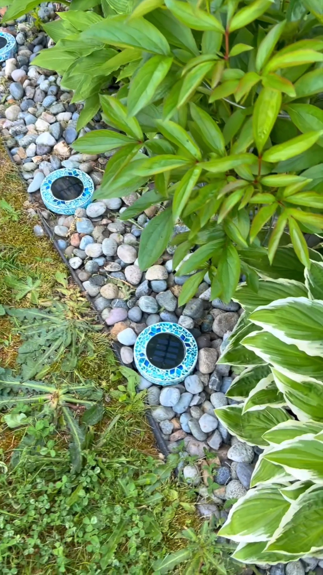 Solar light really do enhance your garden and or walkway! #SolarLights #GardenAccessories #Lights #OutdoorLights #walkway

#LTKSaleAlert #LTKHome #LTKdayinmylife