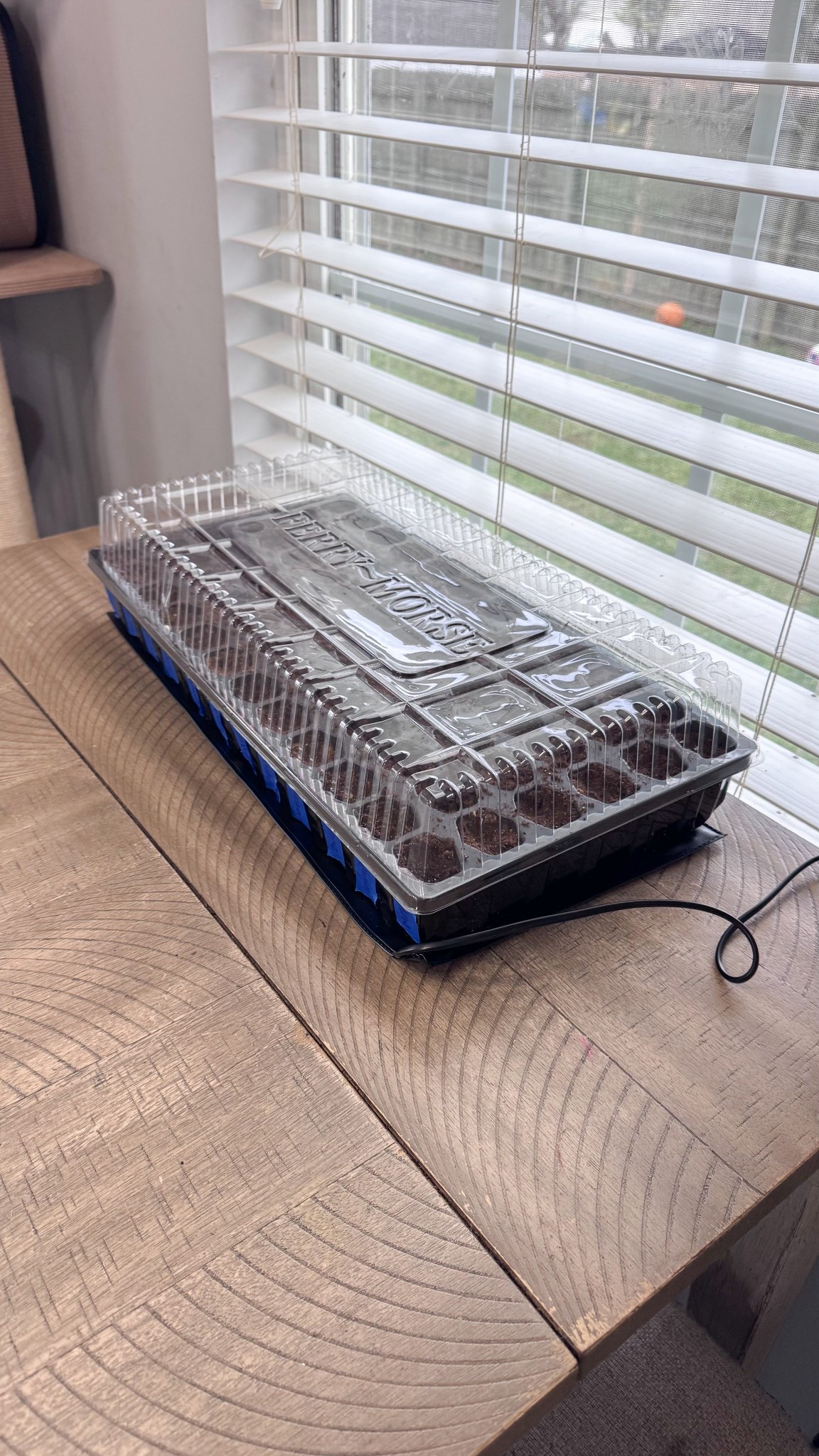 Got our seeds started this past week! Got our seeds started for under $50! Plus reuse this seed starting kit next year! Buy the seeds at the $1 door or Walmart for just over $1 a pack! #gardening #beginnergardener #gardeningtips #homemaking

#LTKmomlife #LTKHome