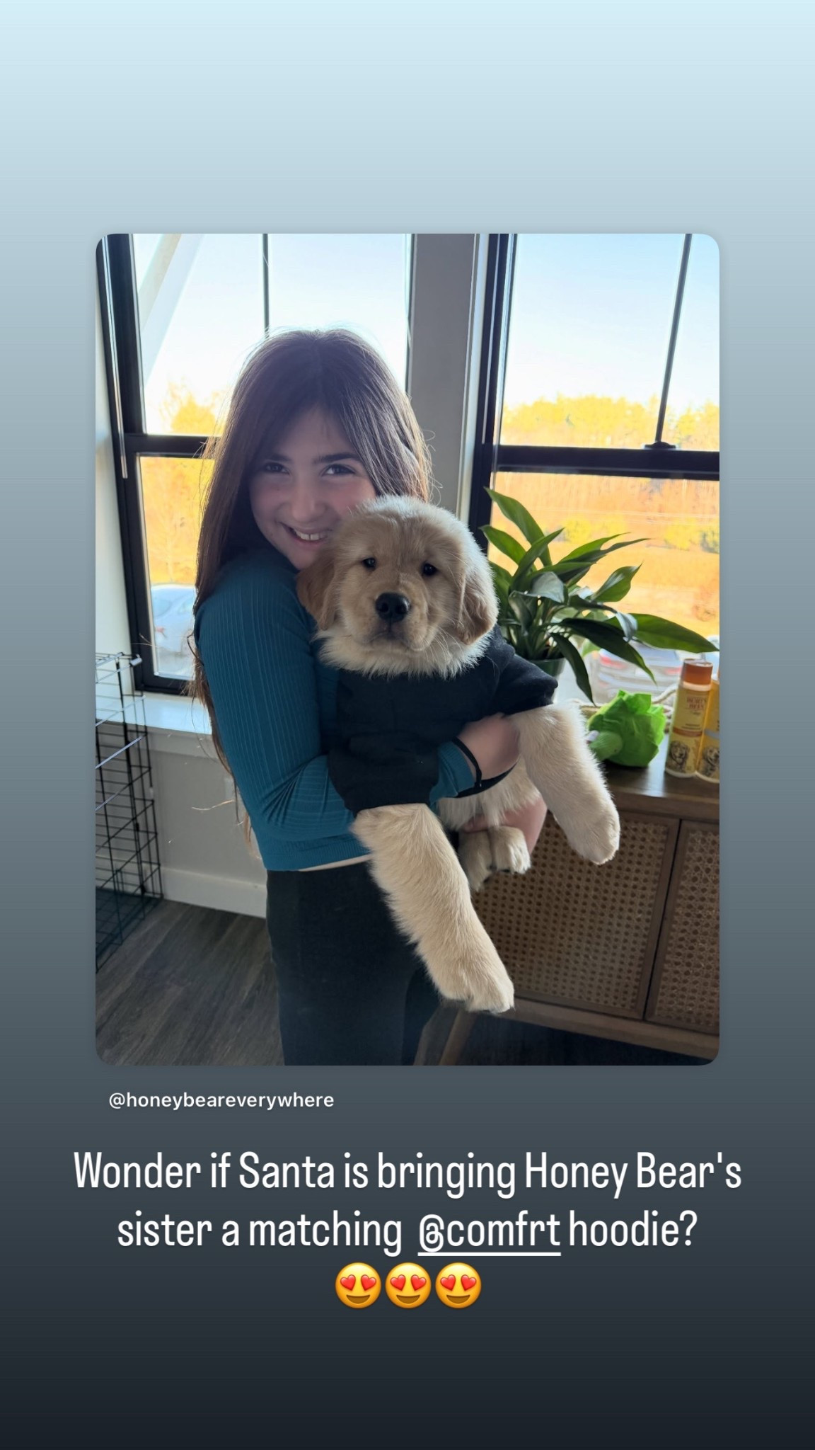 This puppy hoodie is so warm and soft 🖤
And kids can match with their pets! 🐾 

#comfrt #LTKpets

#LTKHome #LTKmomlife #LTKKids