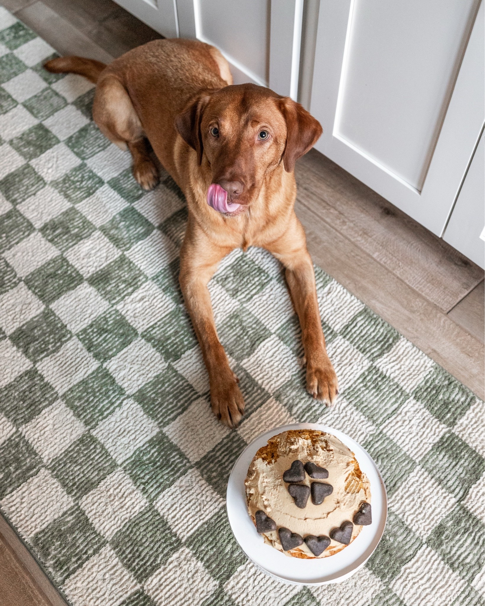 My favorite washable rugs are on sale through 5/31! Save up to 25% off — perfect for those who have pets! They’re so comfy even my dogs approve.

#LTKHome #LTKSaleAlert
