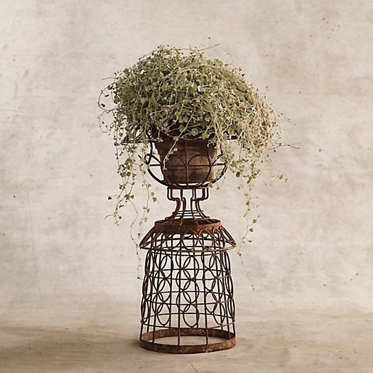 Aged Iron Wire Collared Plant Stand | Terrain