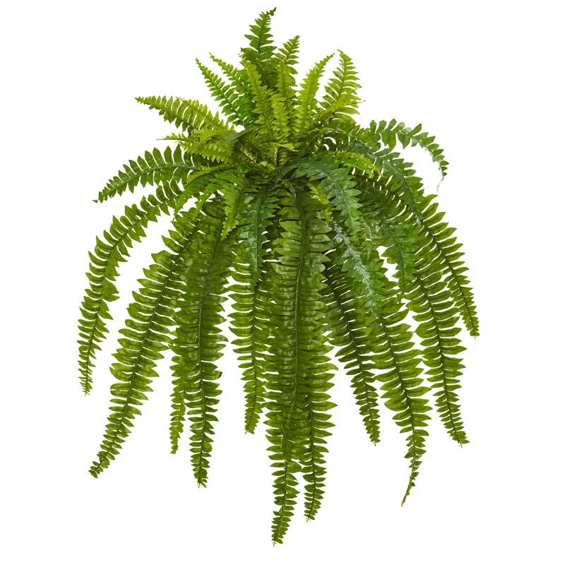 35" Artificial Fern Plant (Set of 2) | Wayfair North America